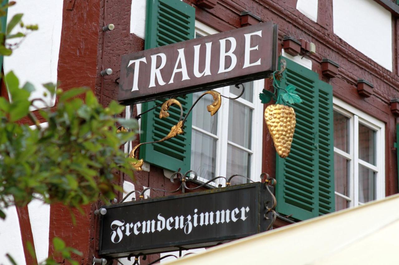 Hotel Traube ジクマリンゲン エクステリア 写真