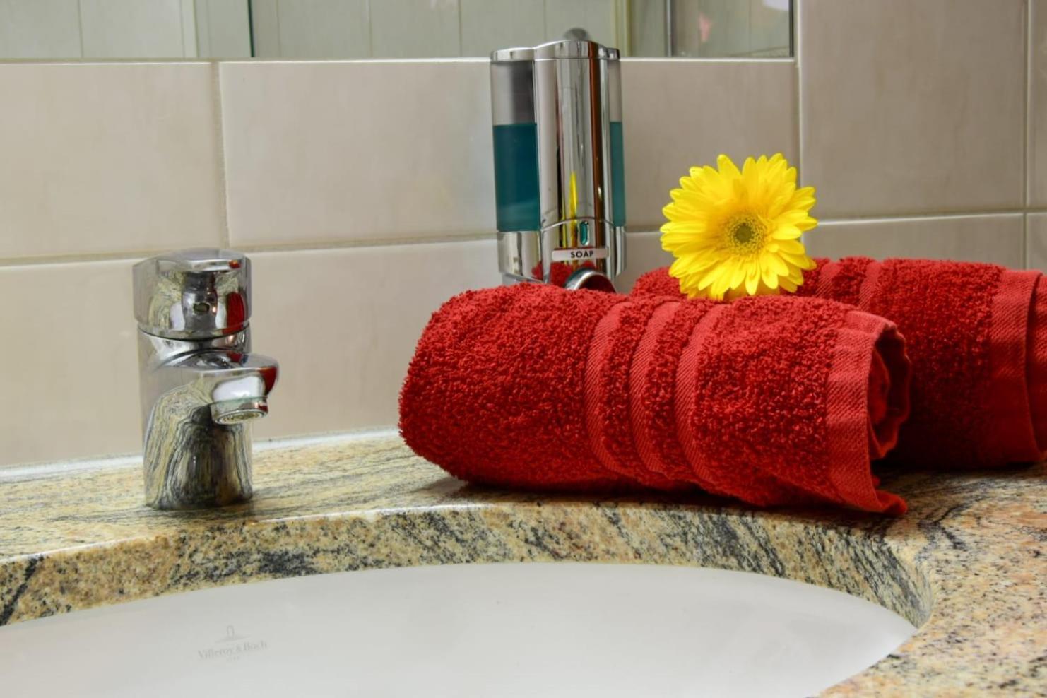 Hotel Traube ジクマリンゲン エクステリア 写真